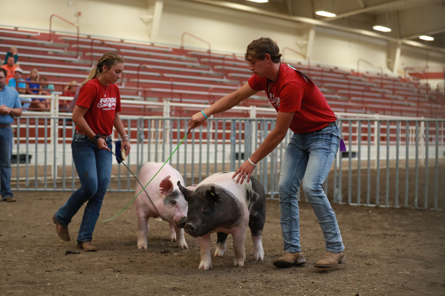 071119_HallCoFair40_bjs.JPG